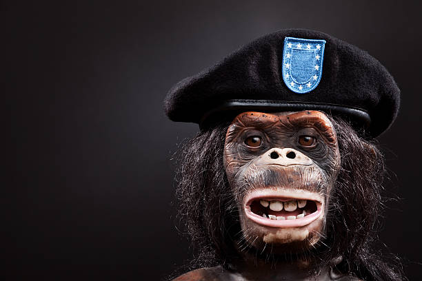 istockphoto-181874683-612x612